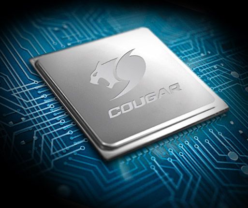COUGAR 600M - 32 位 ARM 处理器